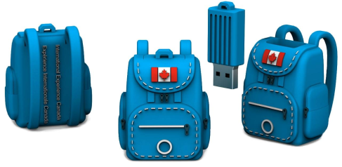 Custom Shaped USB Backpack